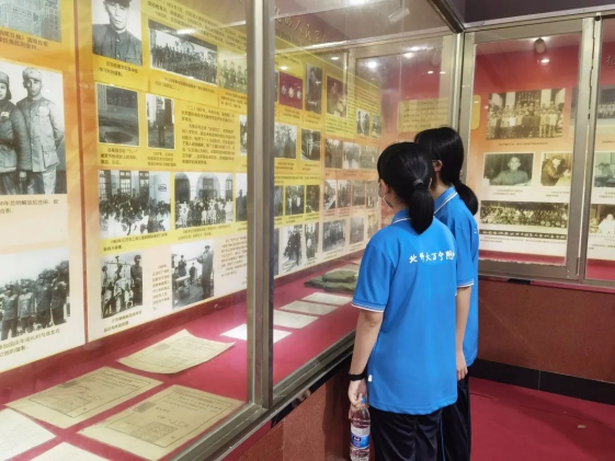 image8.png image8.png