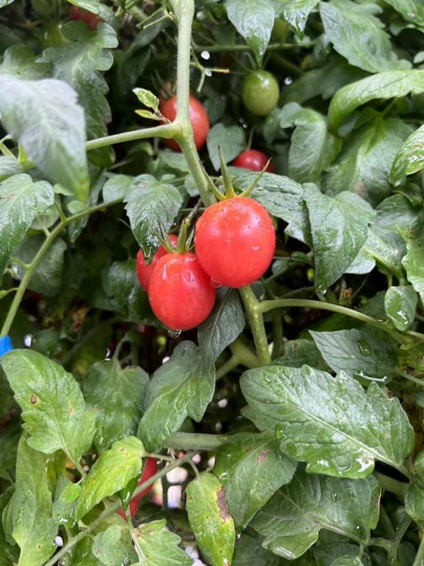 图片41.png 图片41.png