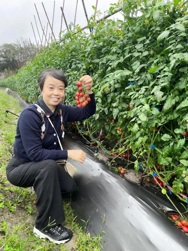 图片5.png 图片5.png