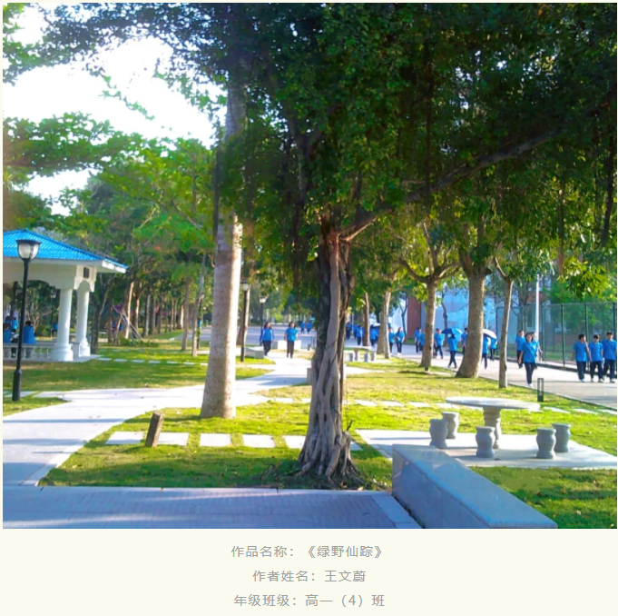 image32.png image32.png