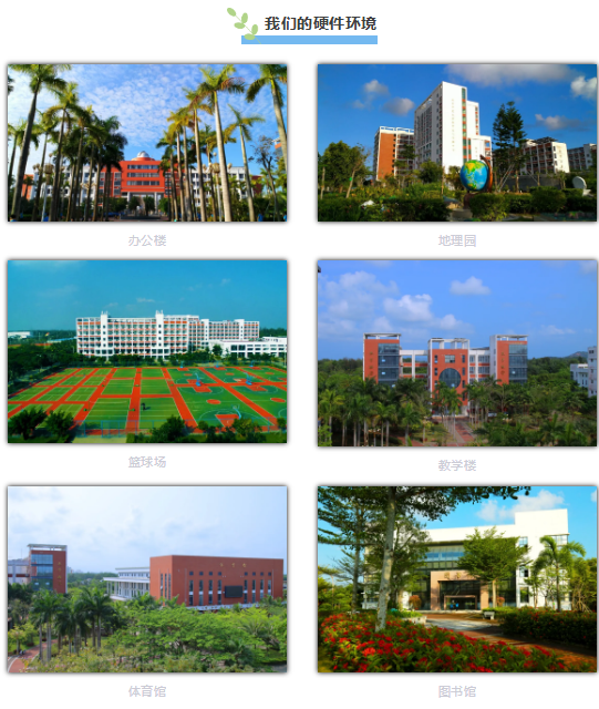 image3.png image3.png