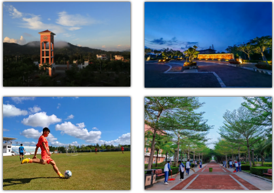 image6.png image6.png