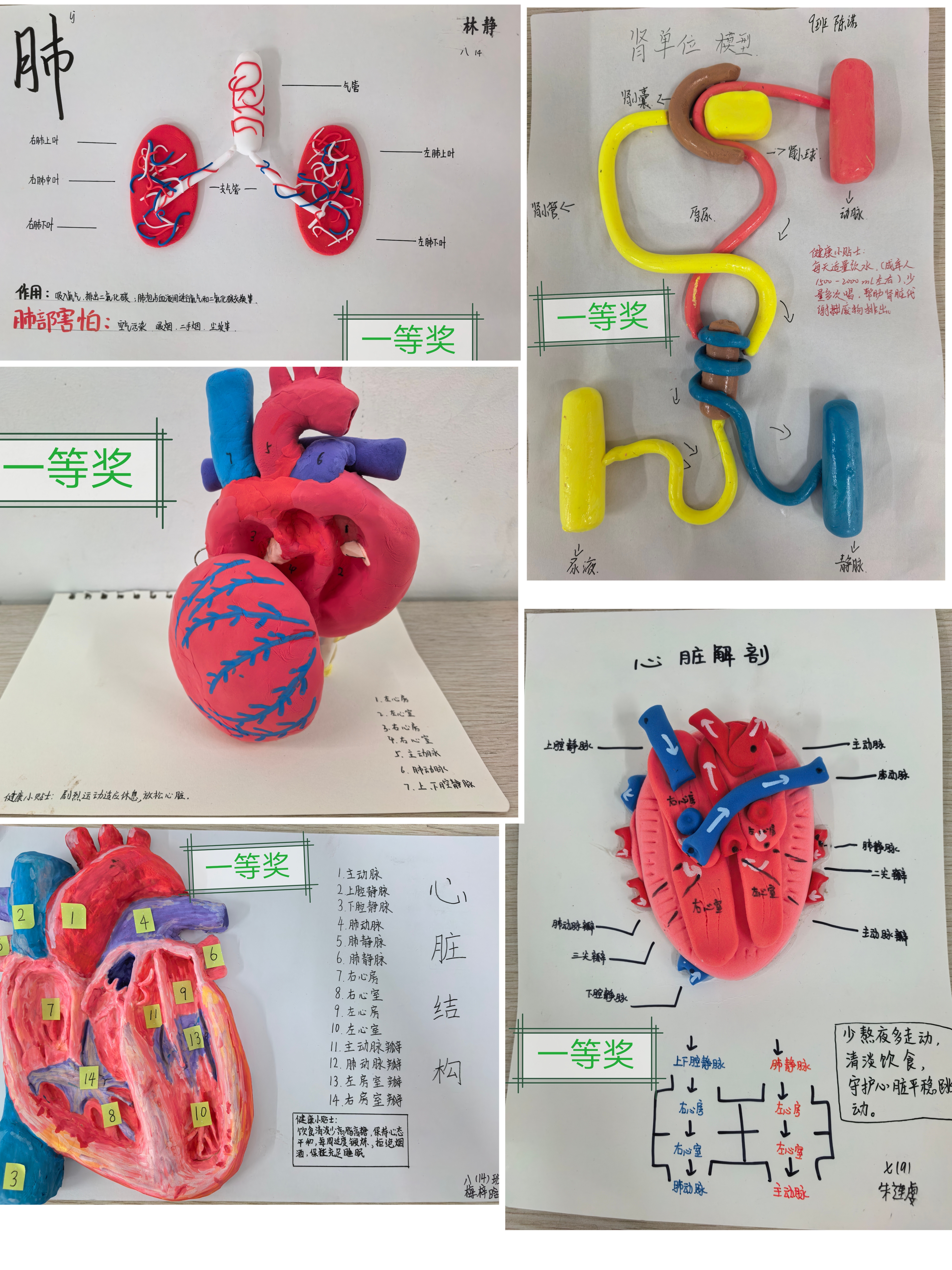 生物配图1..jpg