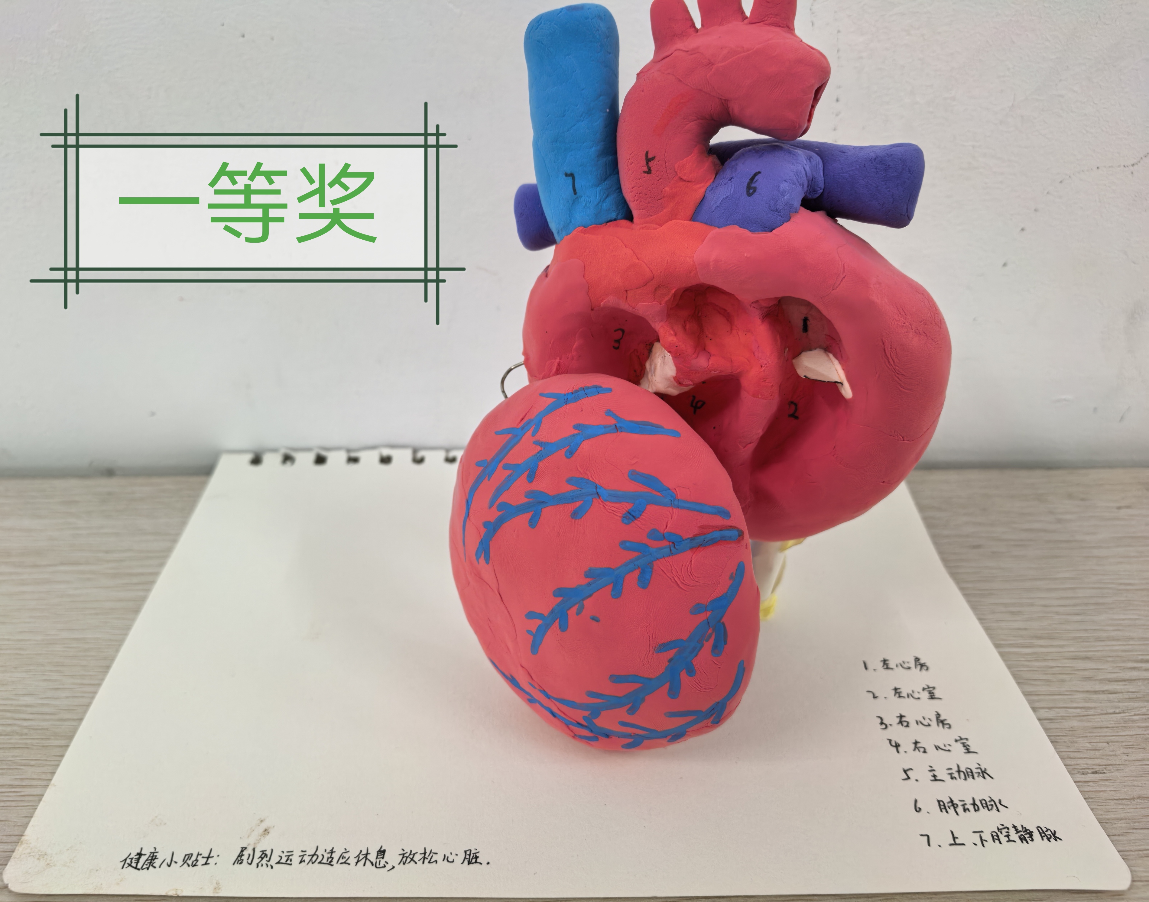生物配图4..jpg